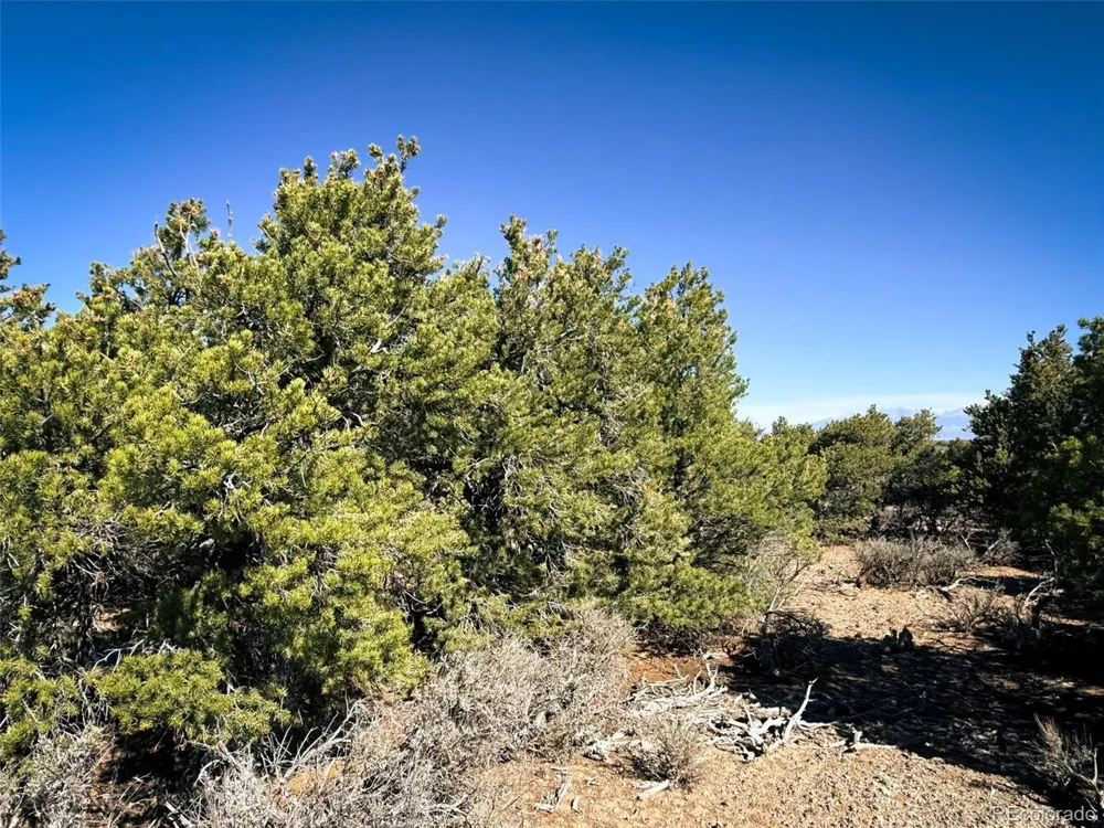 0 Overland Way San Luis, CO 81152