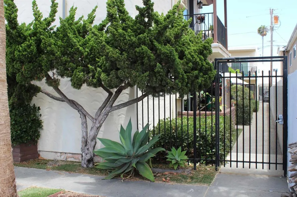 4437 Cleveland Avenue San Diego, CA 92103