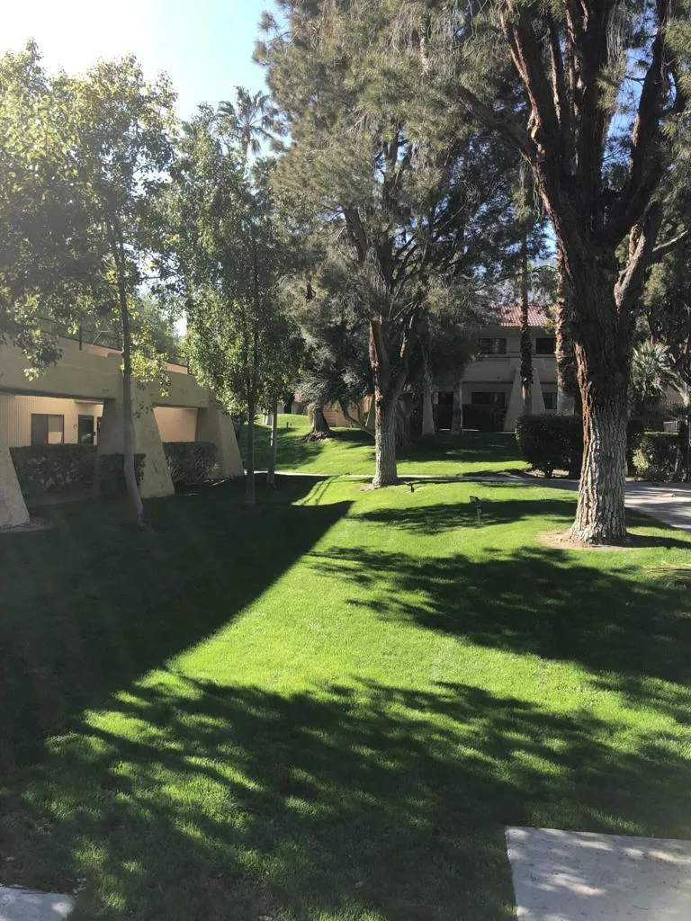 675 Los Felices Circle W #210 Palm Springs, CA 92262