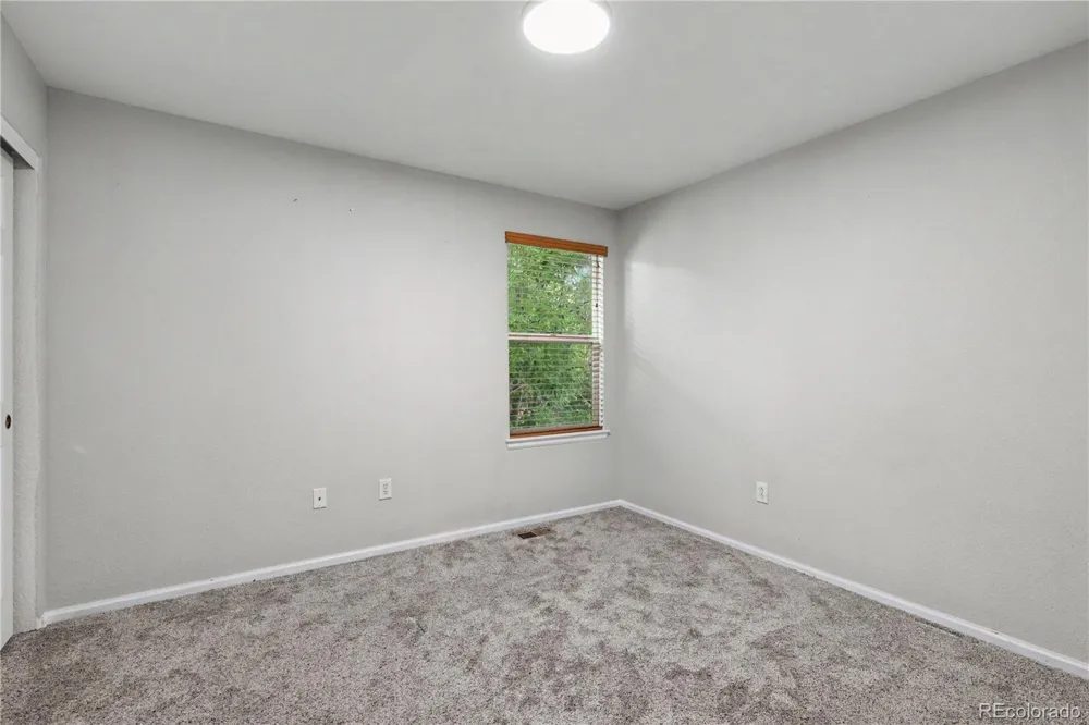 1242 E 100th Place Thornton, CO 80229