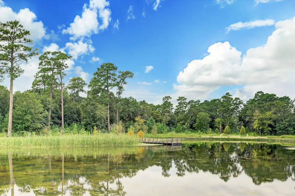 353 Post Oak Lane #825 Houston, TX 77024