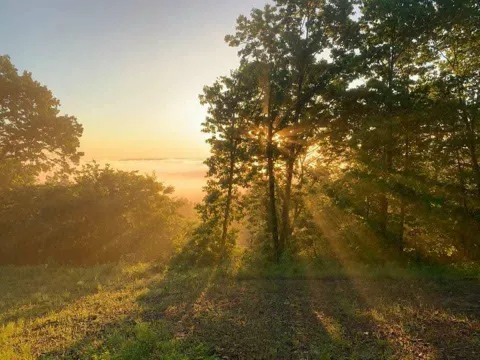 Lookout Road