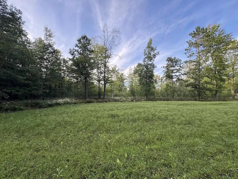 5045 M30 Gladwin, MI 48624