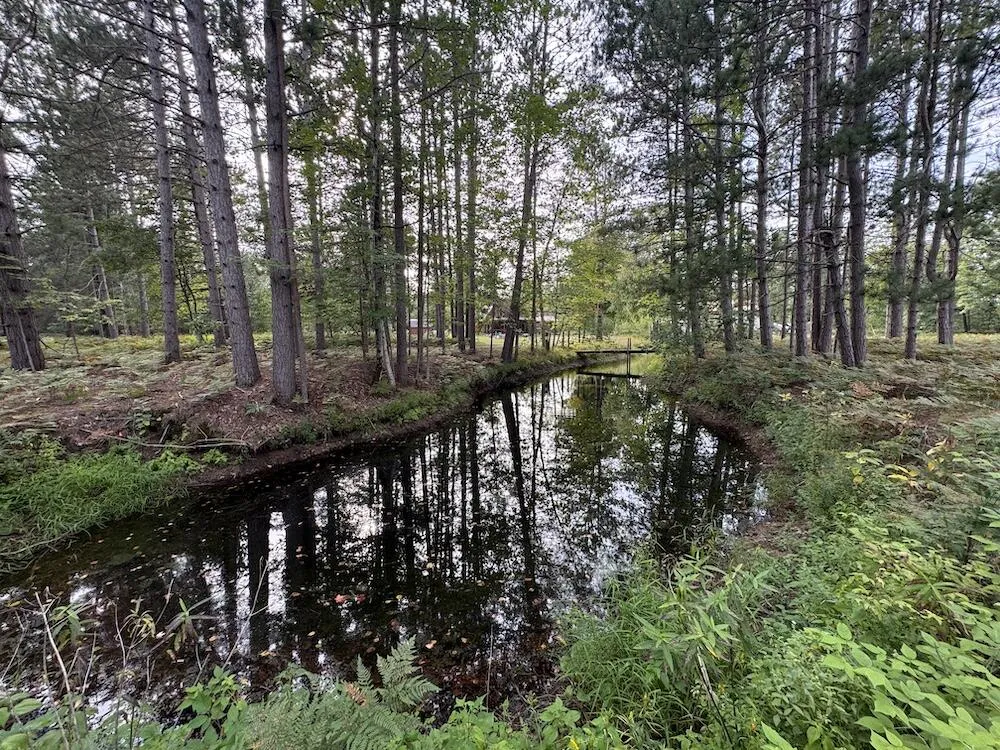 5045 M30 Gladwin, MI 48624