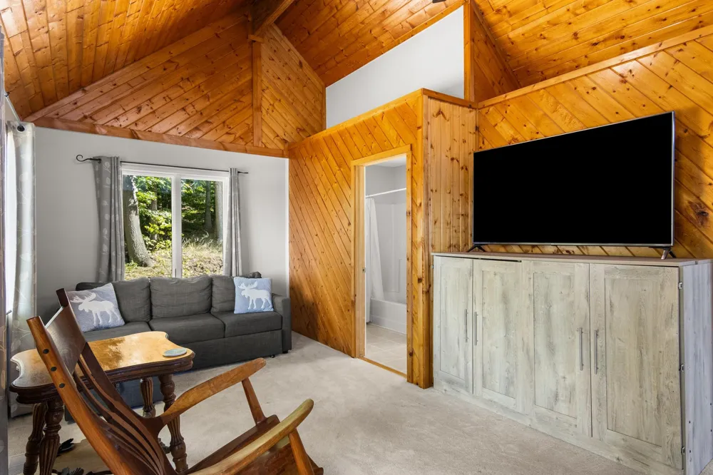 11453 S East Torch Lake Drive Helena Township, MI 49612
