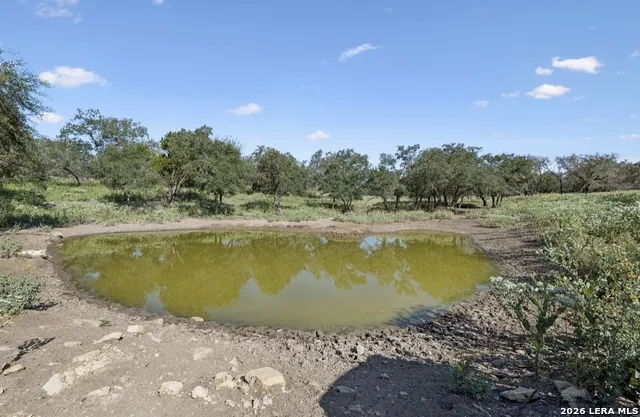 149 BLOODHOUND TRL Sisterdale, TX 78006
