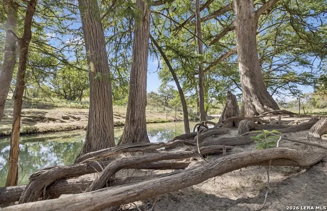 149 BLOODHOUND TRL Sisterdale, TX 78006