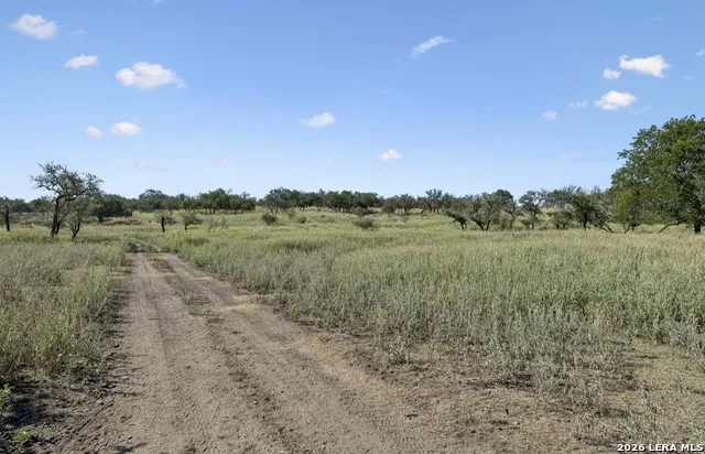 149 BLOODHOUND TRL Sisterdale, TX 78006