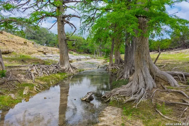 149 BLOODHOUND TRL Sisterdale, TX 78006