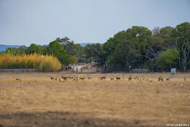 149 BLOODHOUND TRL Sisterdale, TX 78006