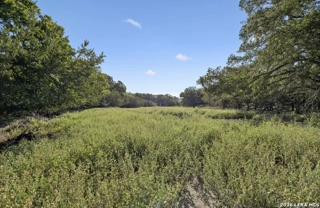 149 BLOODHOUND TRL Sisterdale, TX 78006