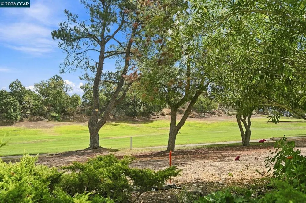 1447 Marchbanks Dr #1 Walnut Creek, CA 94598