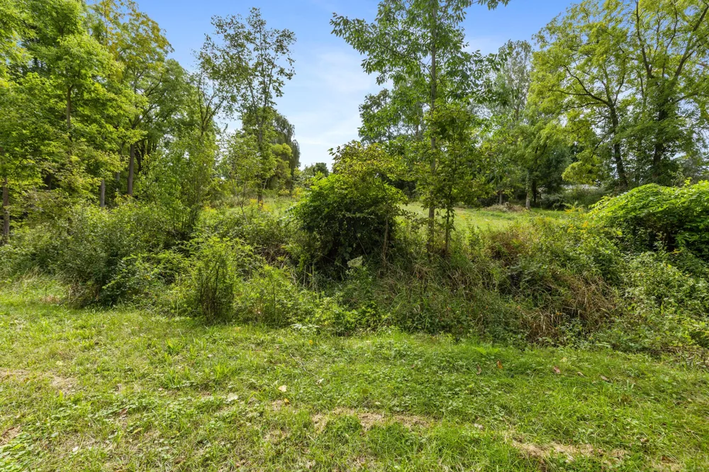 Parcel A Burgess Street Lyons, MI 48851