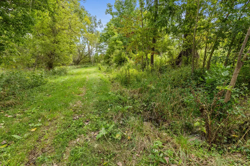 Parcel A Burgess Street Lyons, MI 48851