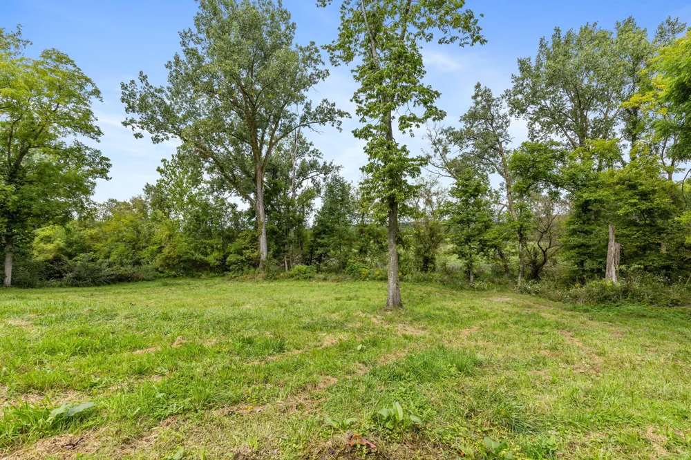 Parcel A Burgess Street Lyons, MI 48851