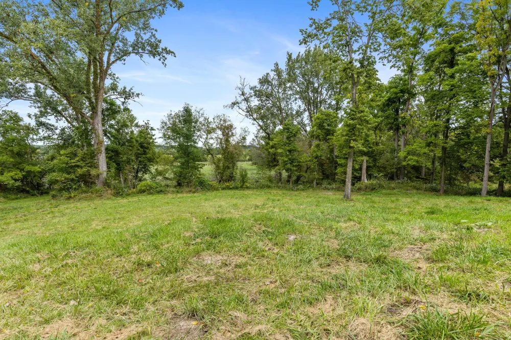 Parcel A Burgess Street Lyons, MI 48851