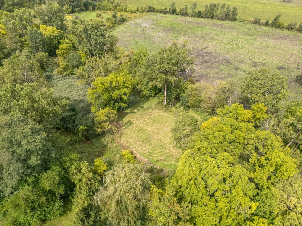 Parcel A Burgess Street Lyons, MI 48851
