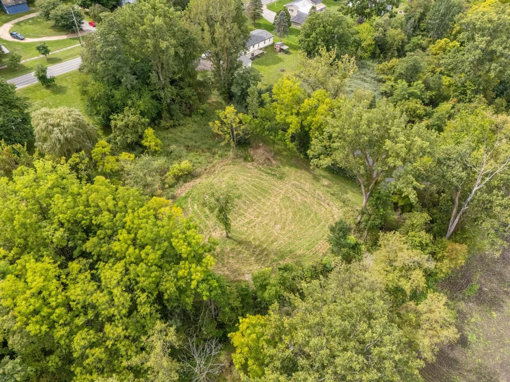 Parcel A Burgess Street Lyons, MI 48851