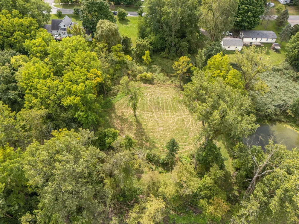 Parcel A Burgess Street Lyons, MI 48851