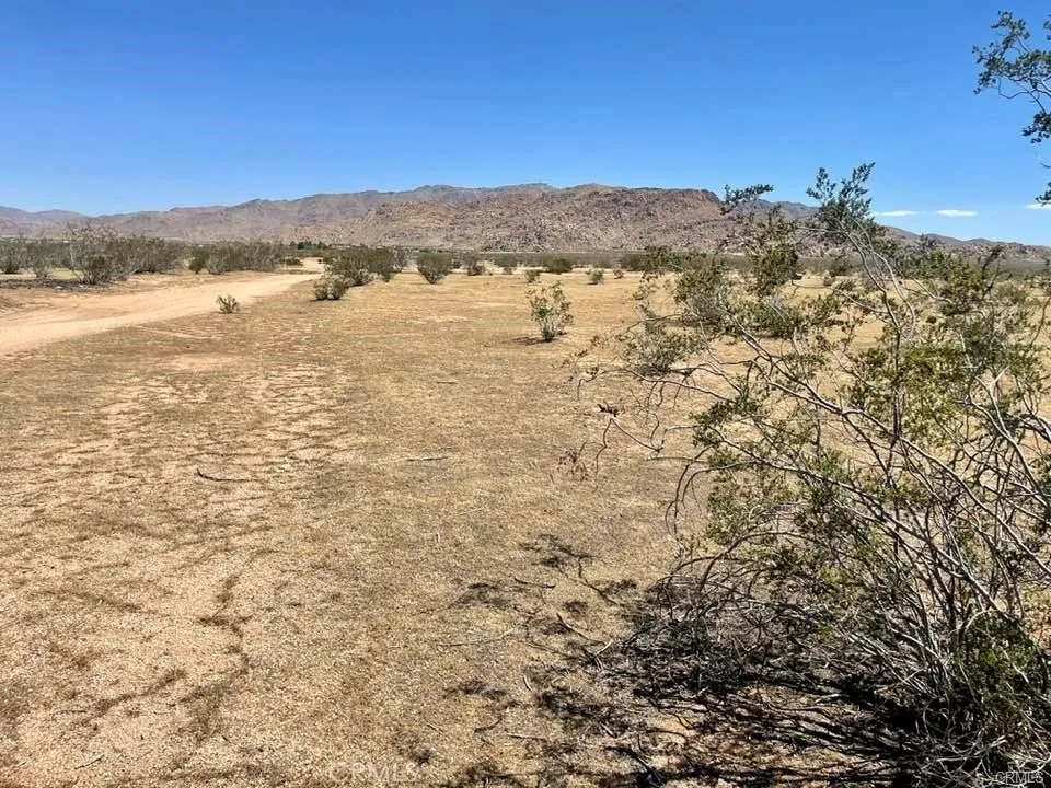 Joshua Rd. 043914124 Apple Valley, CA 92308