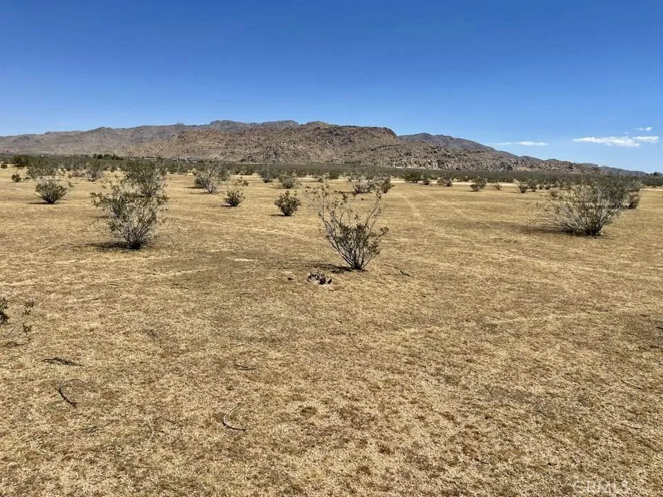 Joshua Rd. 043914124 Apple Valley, CA 92308