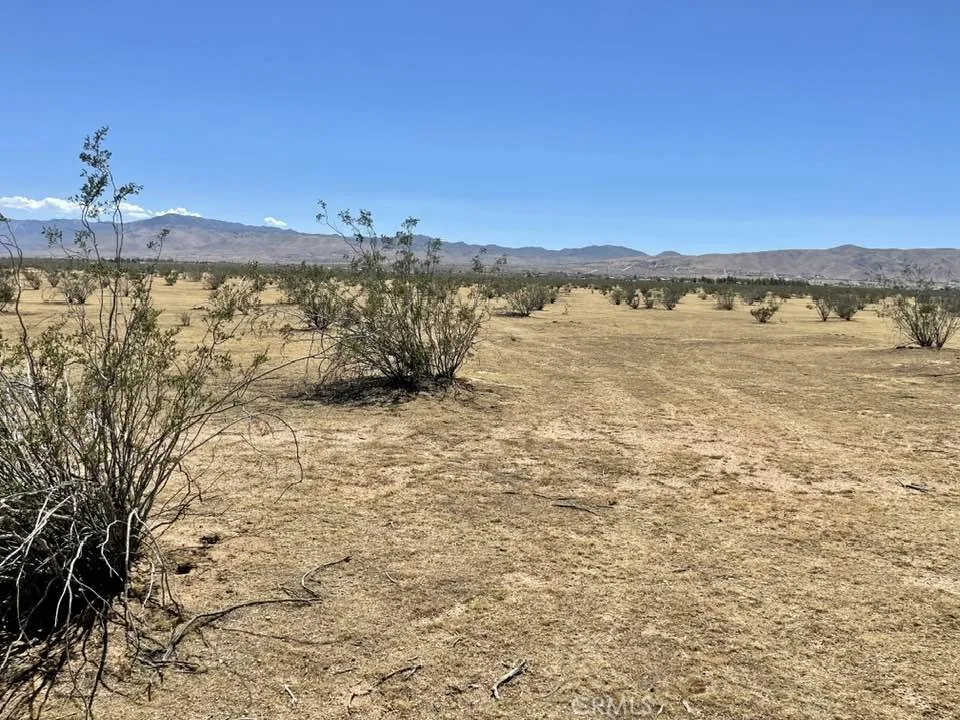 Joshua Rd. 043914124 Apple Valley, CA 92308
