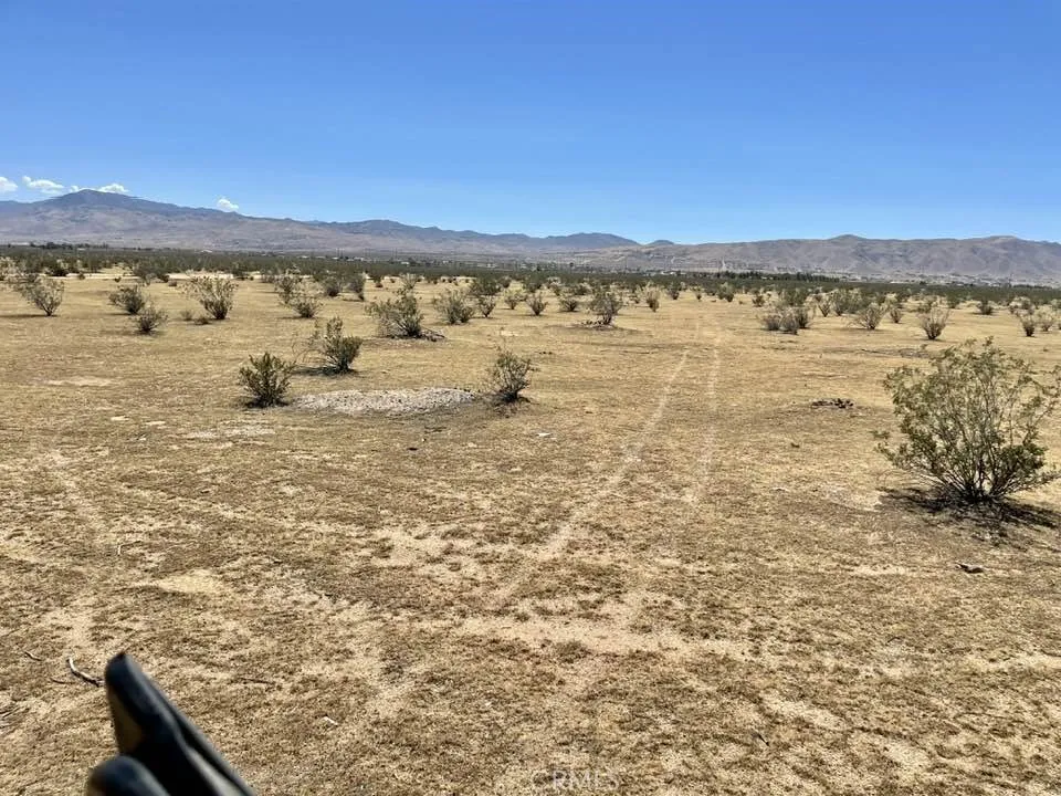 Joshua Rd. 043914124 Apple Valley, CA 92308