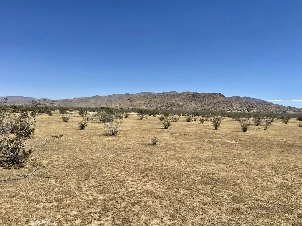 Joshua Rd. 043914124 Apple Valley, CA 92308
