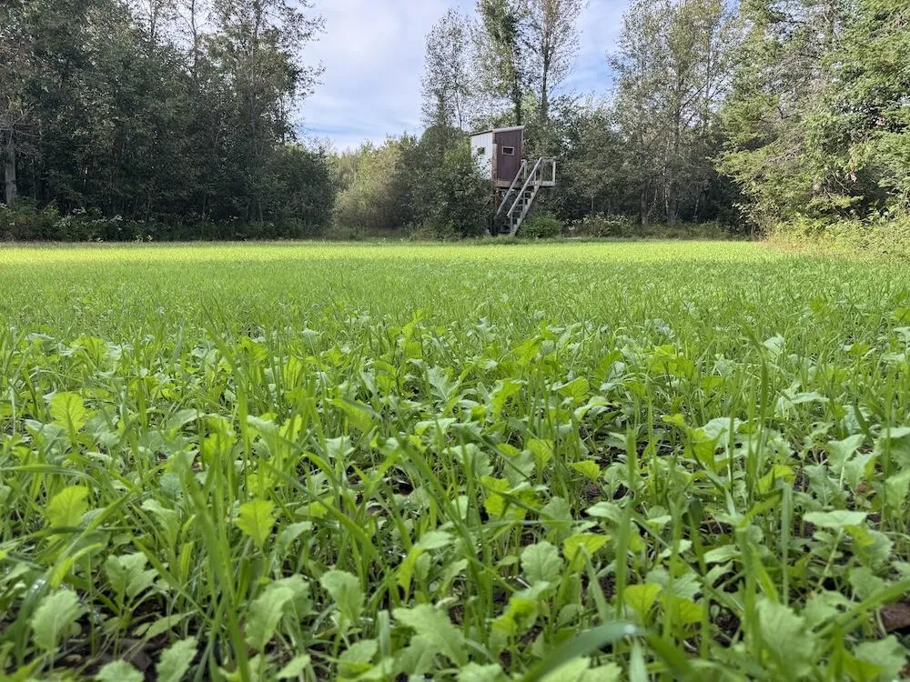 5045 M30 Butman Township, MI 48624
