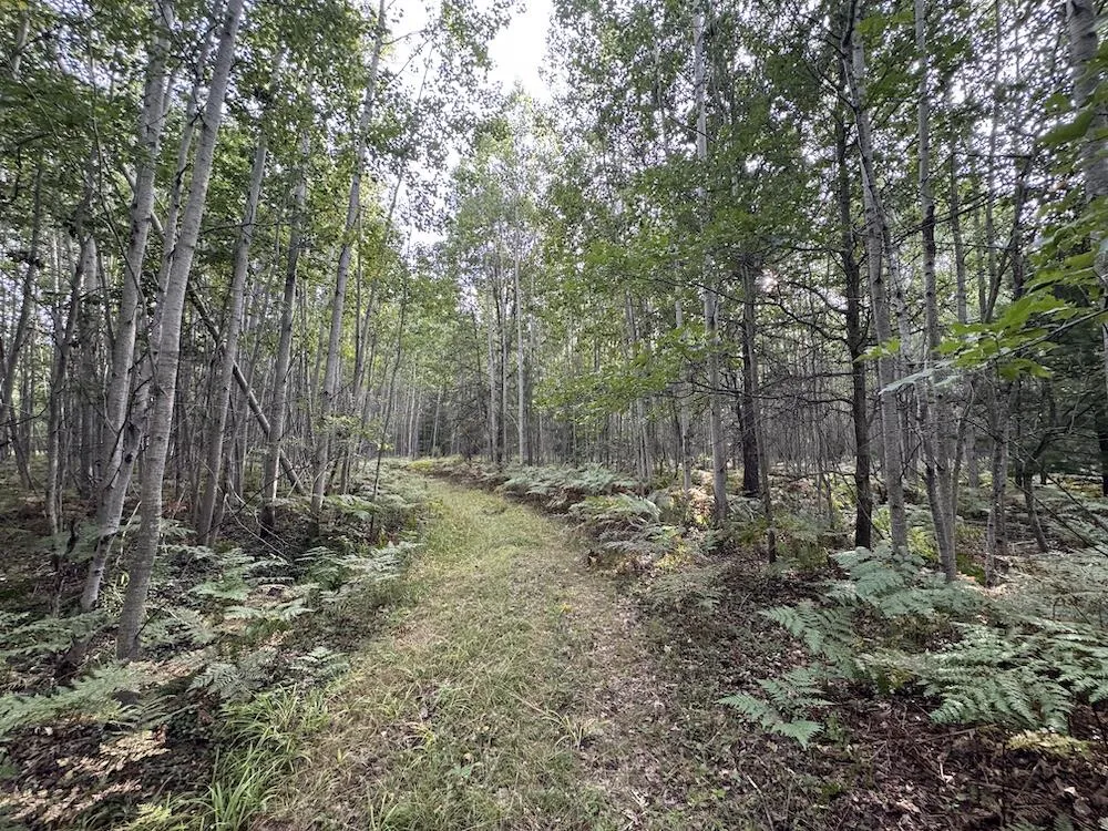 5045 M30 Butman Township, MI 48624