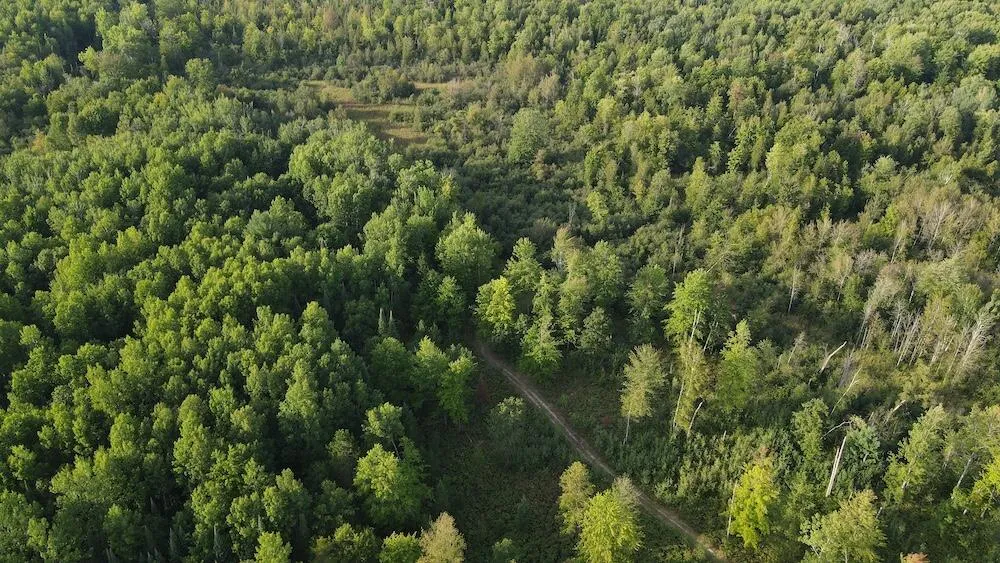 5045 M30 Butman Township, MI 48624