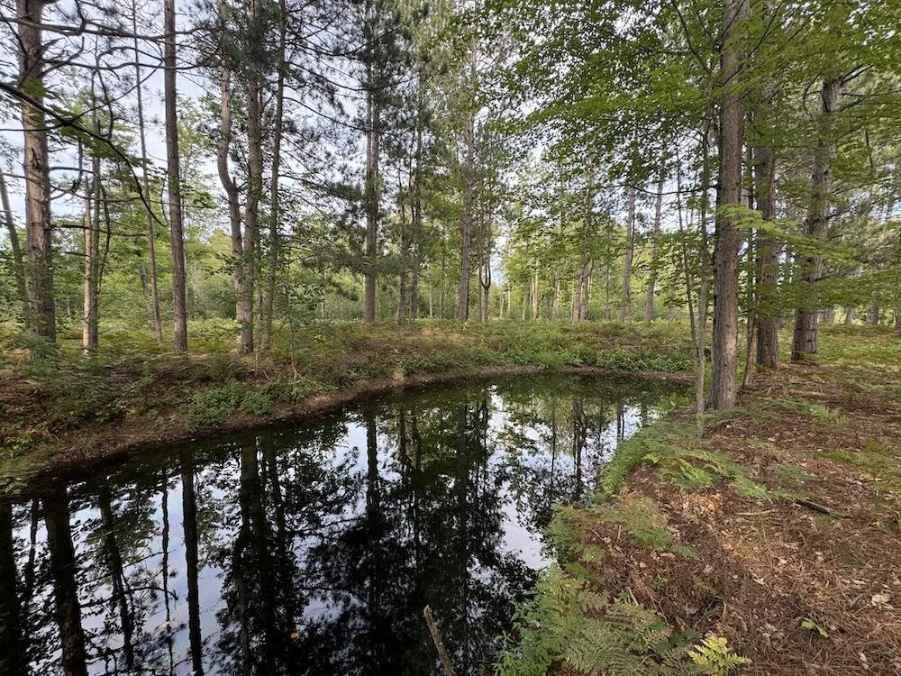 5045 M30 Butman Township, MI 48624