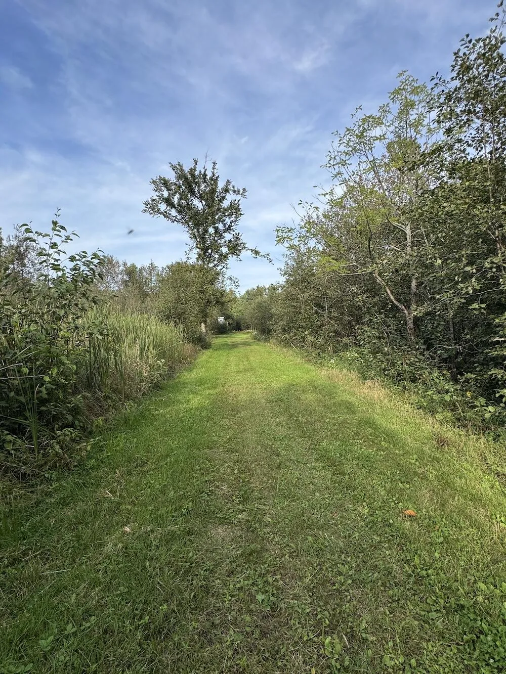 5045 M30 Butman Township, MI 48624