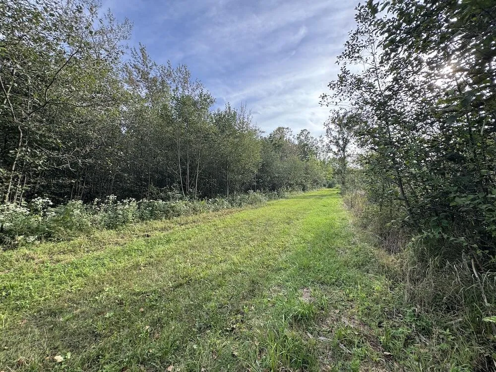 5045 M30 Butman Township, MI 48624
