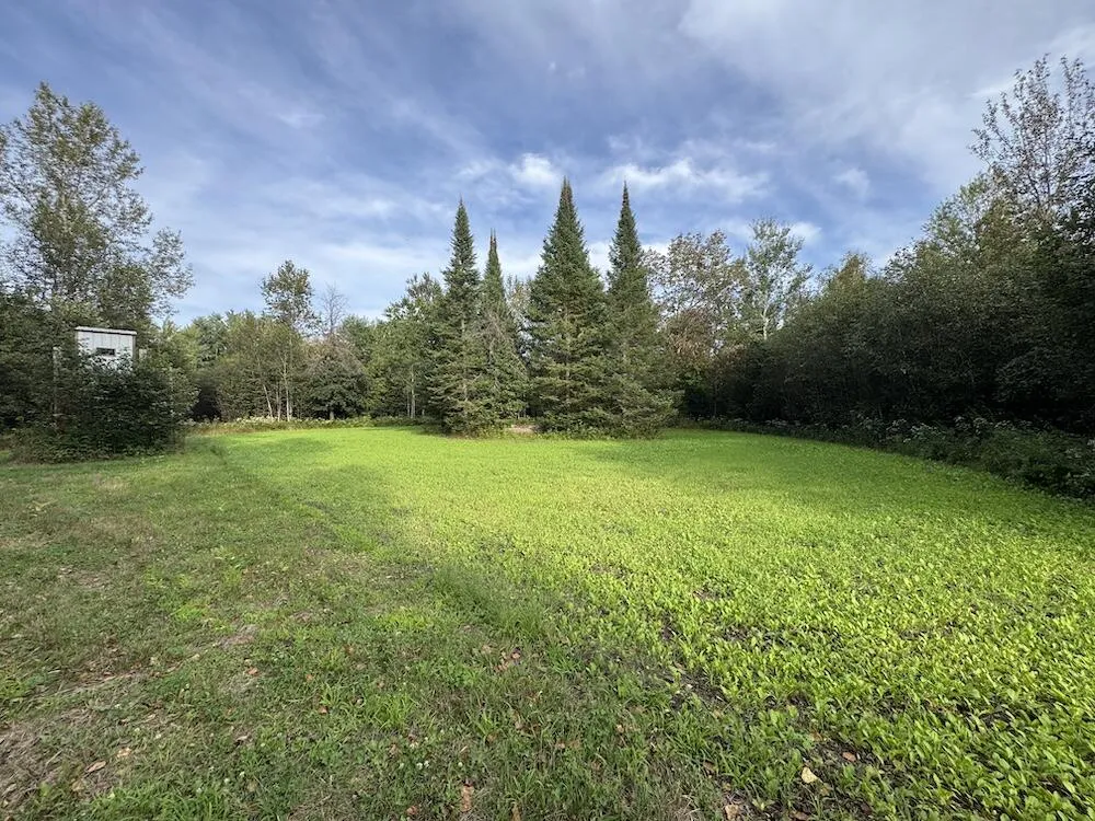 5045 M30 Butman Township, MI 48624