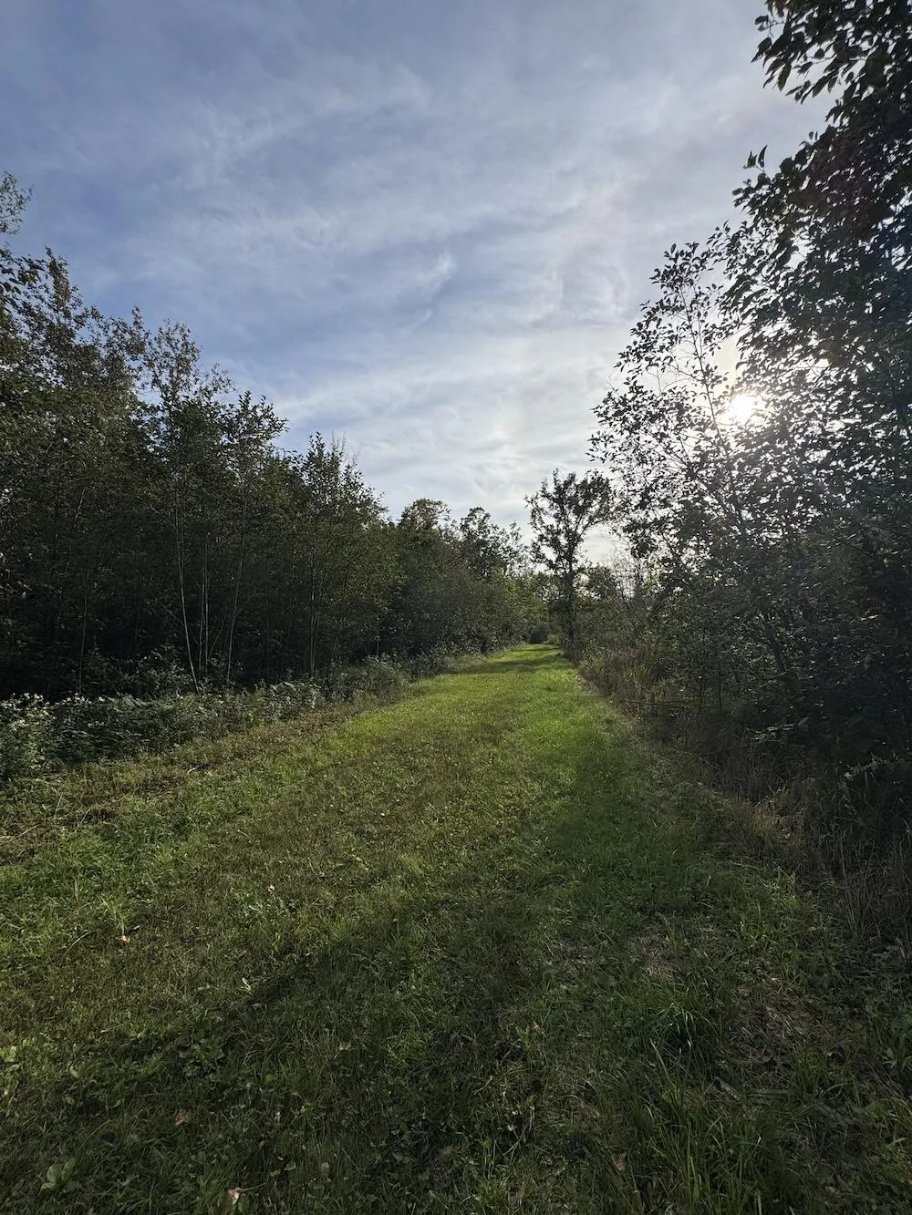 5045 M30 Butman Township, MI 48624