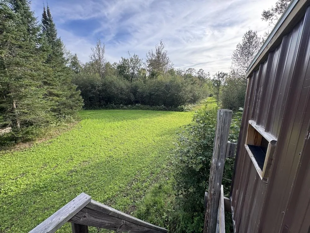 5045 M30 Butman Township, MI 48624