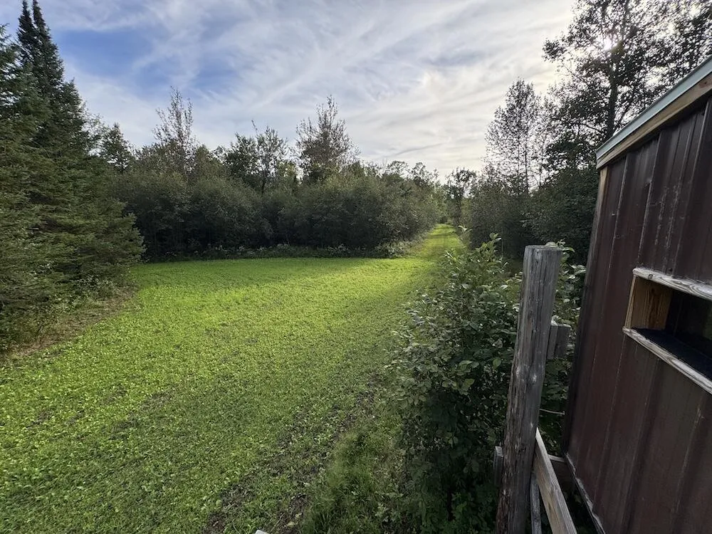 5045 M30 Butman Township, MI 48624