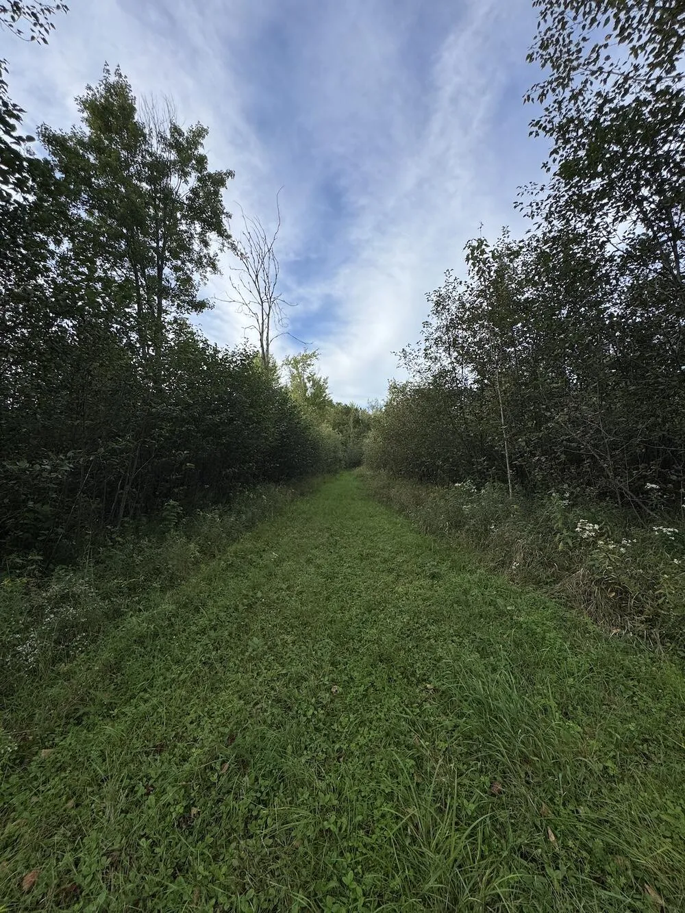 5045 M30 Butman Township, MI 48624