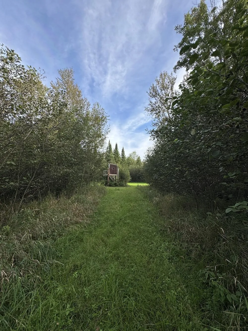 5045 M30 Butman Township, MI 48624
