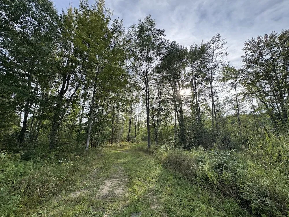 5045 M30 Butman Township, MI 48624