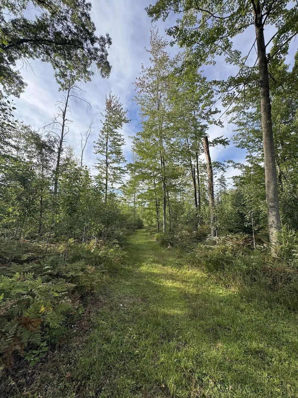 5045 M30 Butman Township, MI 48624