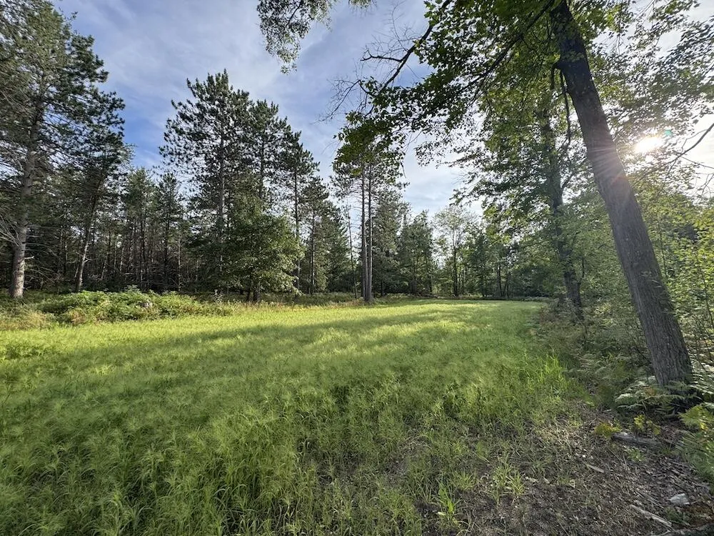 5045 M30 Butman Township, MI 48624