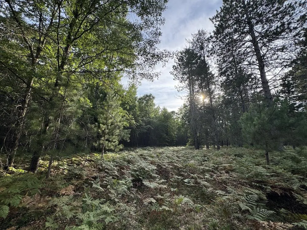 5045 M30 Butman Township, MI 48624
