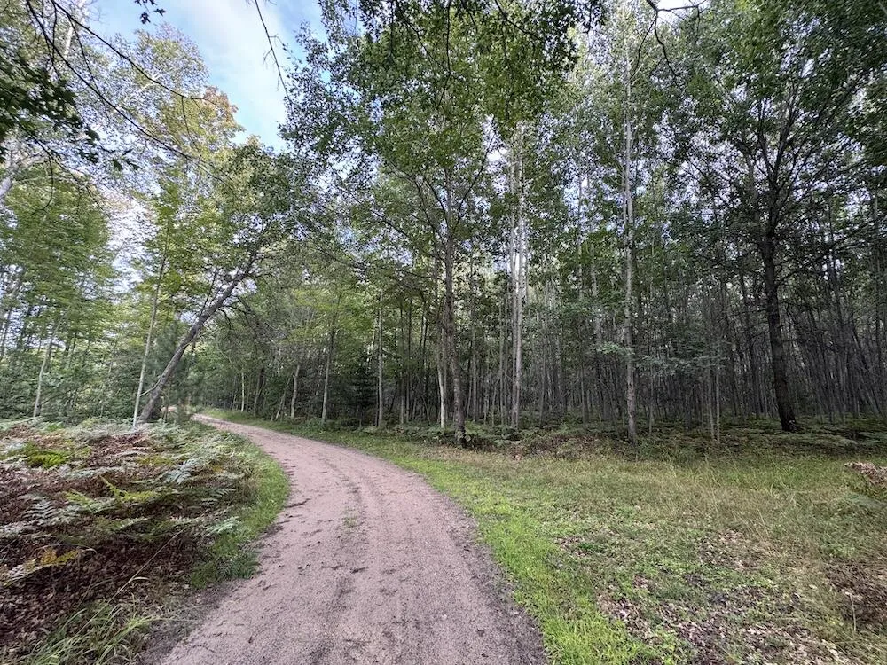5045 M30 Butman Township, MI 48624