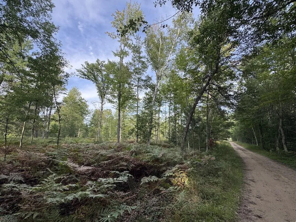 5045 M30 Butman Township, MI 48624