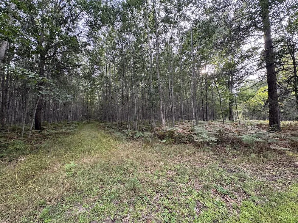 5045 M30 Butman Township, MI 48624