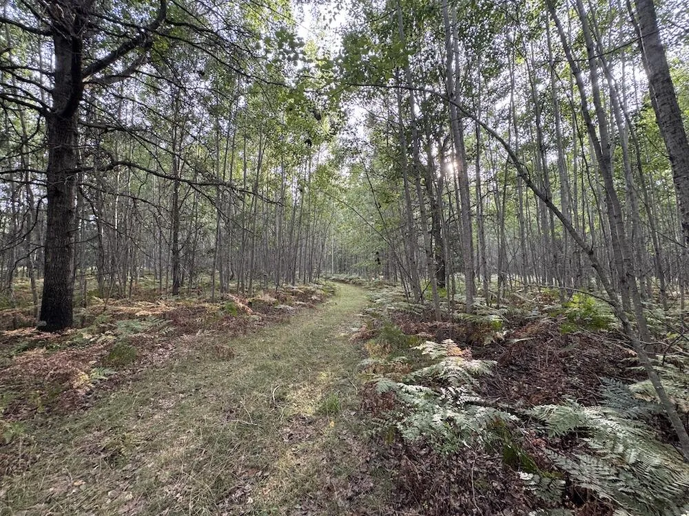 5045 M30 Butman Township, MI 48624