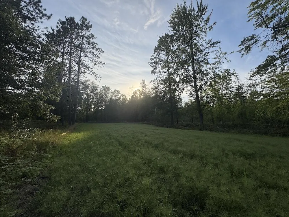 5045 M30 Butman Township, MI 48624