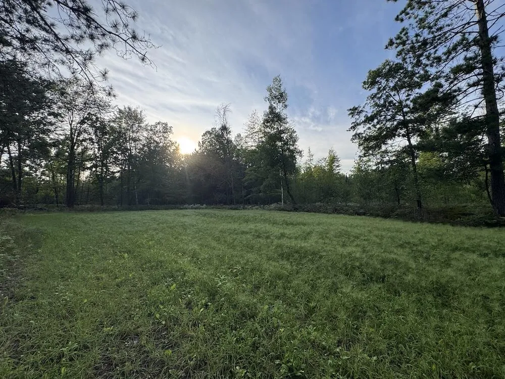 5045 M30 Butman Township, MI 48624
